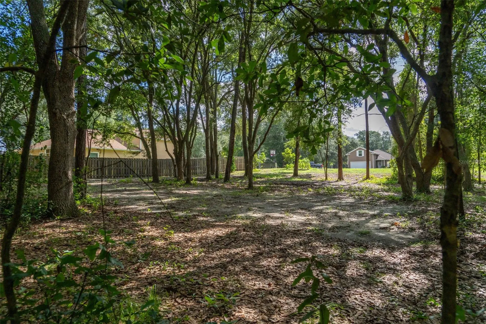 40 Deer Trail Circle Bronson FL 32621