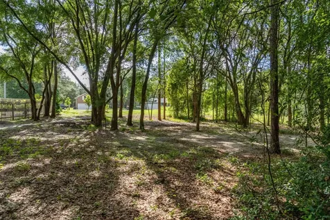 40 Deer Trail Circle Bronson FL 32621