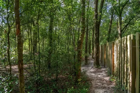 40 Deer Trail Circle Bronson FL 32621