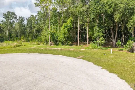 40 Deer Trail Circle Bronson FL 32621