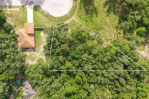 40 Deer Trail Circle Bronson FL 32621
