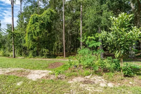 40 Deer Trail Circle Bronson FL 32621