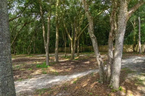 40 Deer Trail Circle Bronson FL 32621