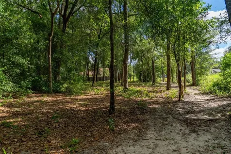 40 Deer Trail Circle Bronson FL 32621