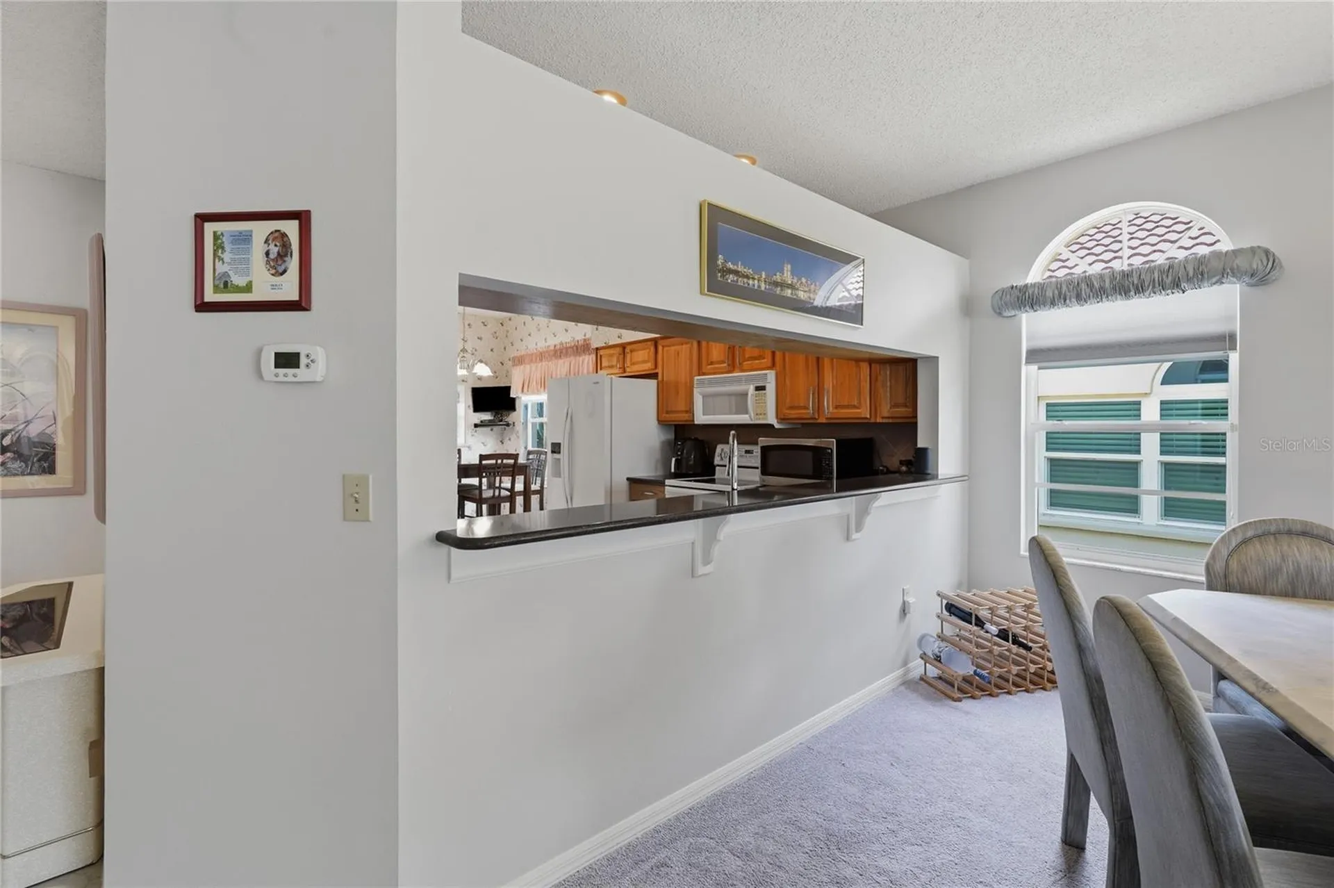 1063 Dartford Drive Tarpon Springs FL 34688