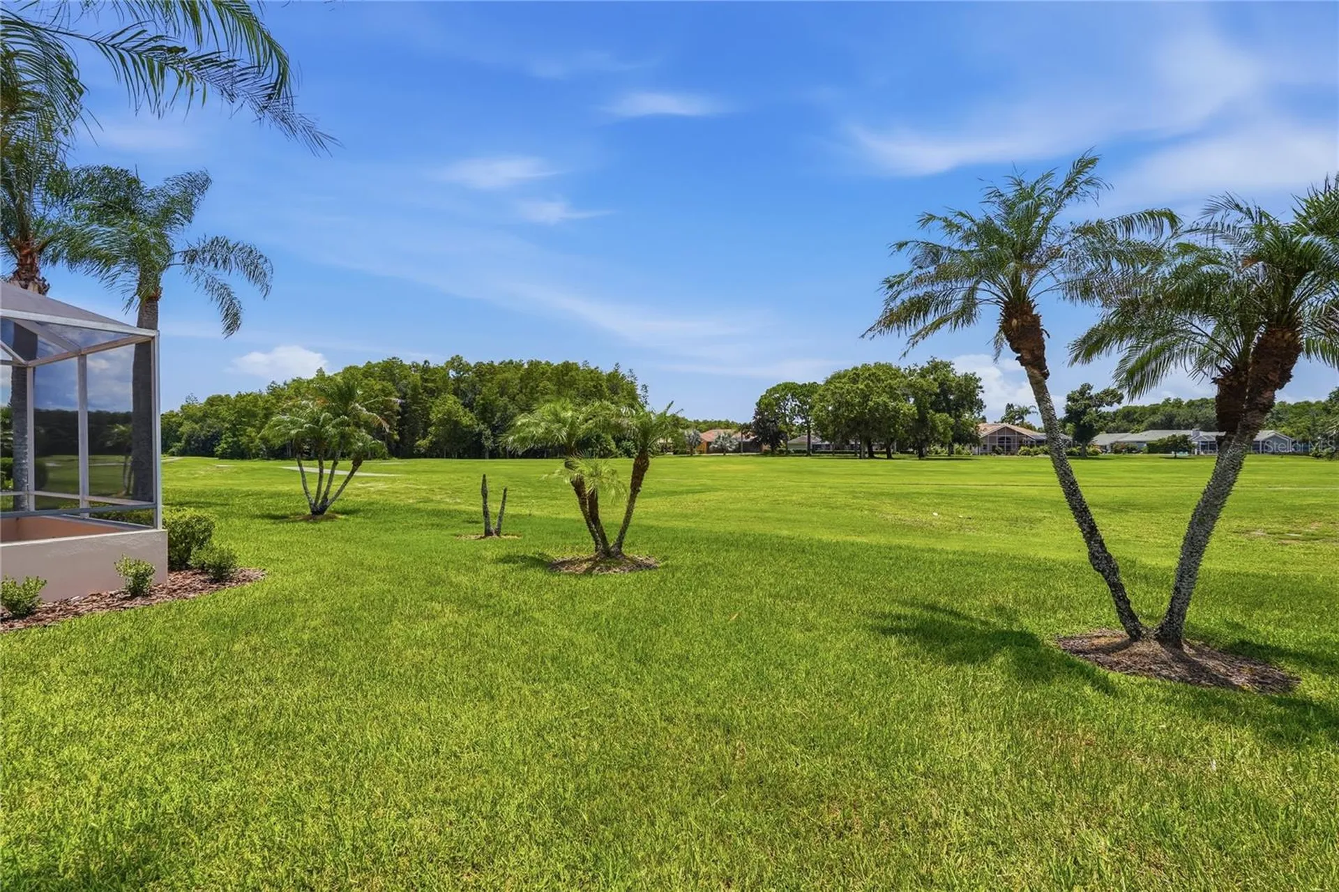 1063 Dartford Drive Tarpon Springs FL 34688