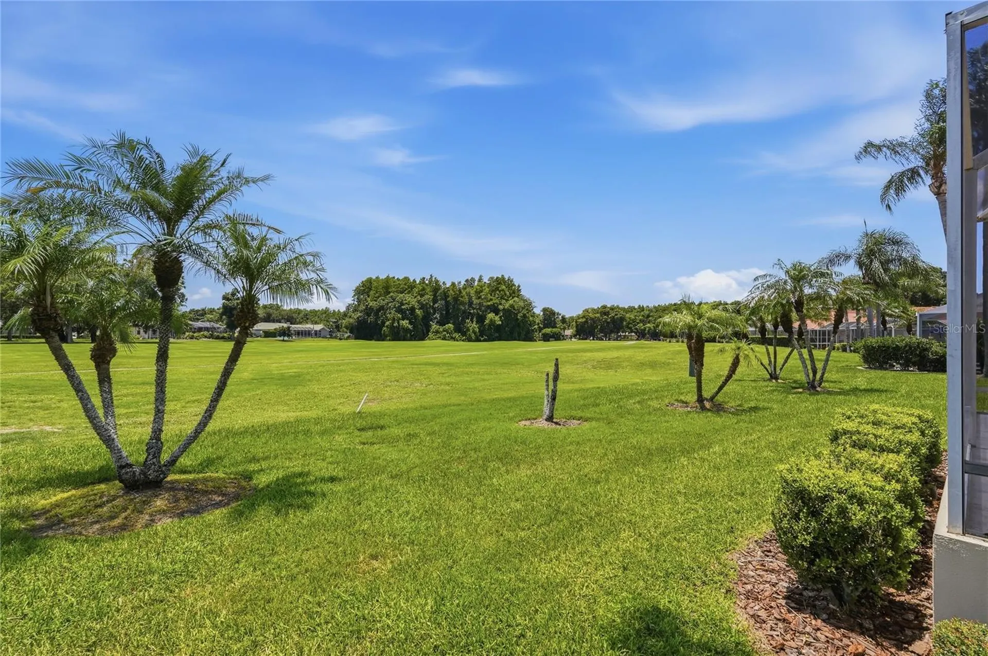 1063 Dartford Drive Tarpon Springs FL 34688