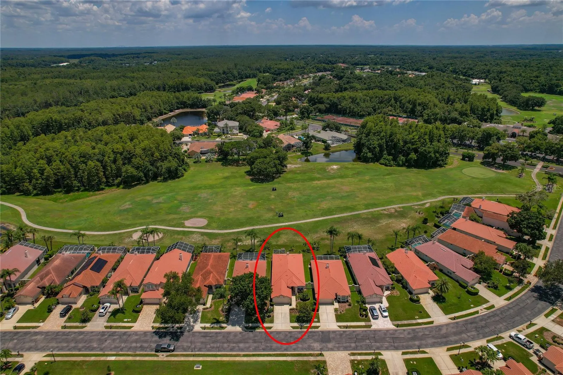 1063 Dartford Drive Tarpon Springs FL 34688