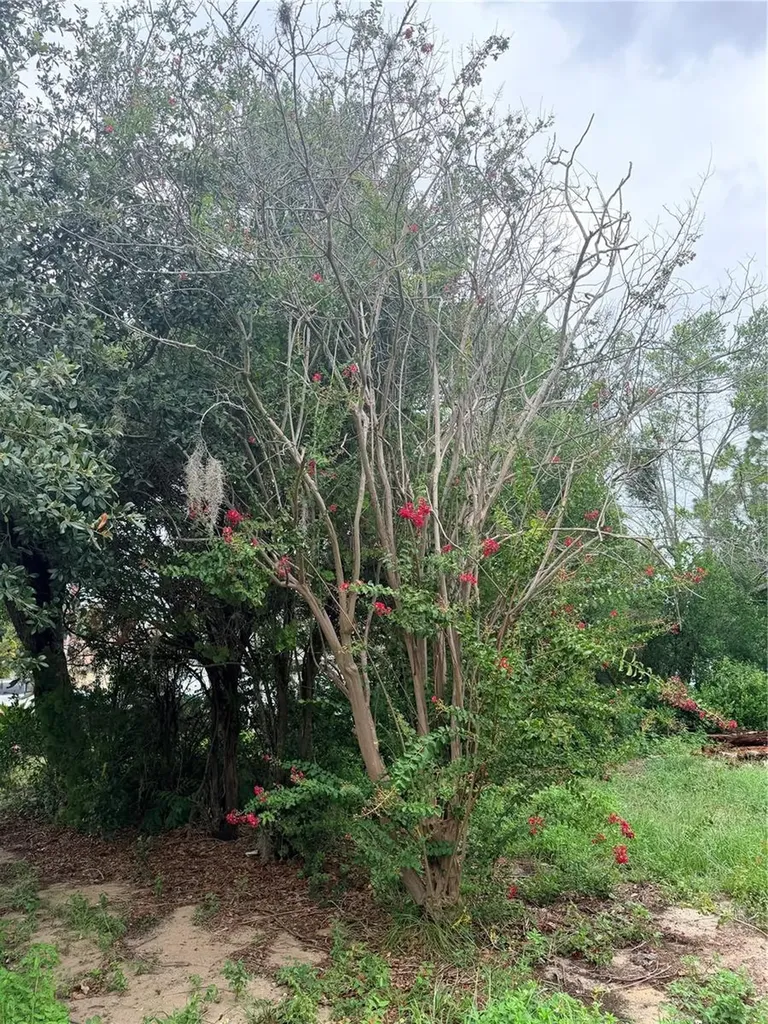 11411 Sagamore Street Spring Hill FL 34609