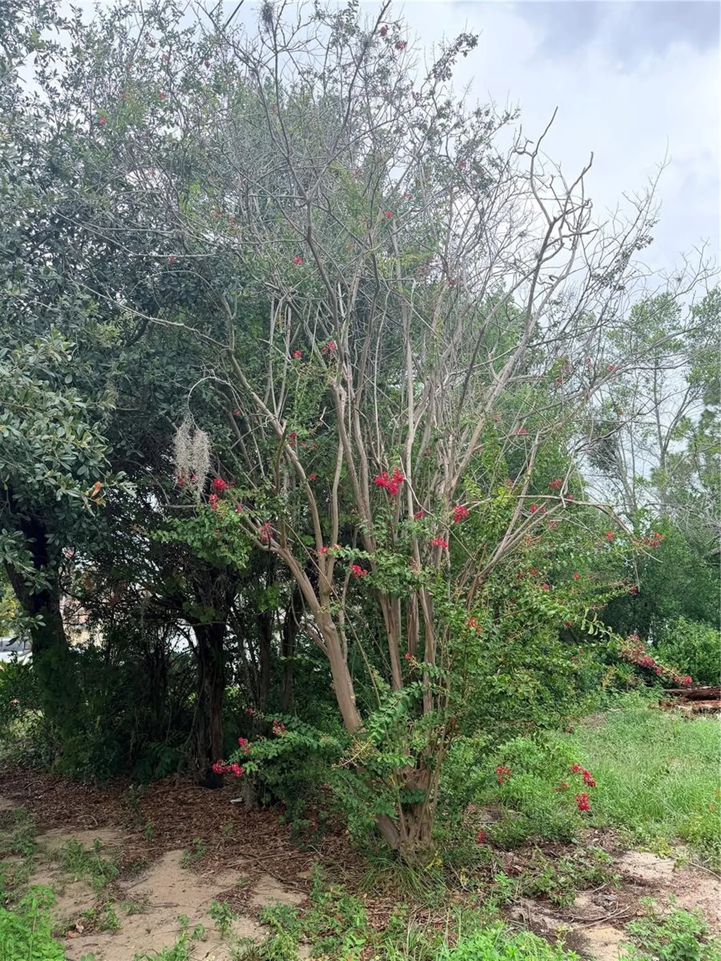 11411 Sagamore Street Spring Hill FL 34609