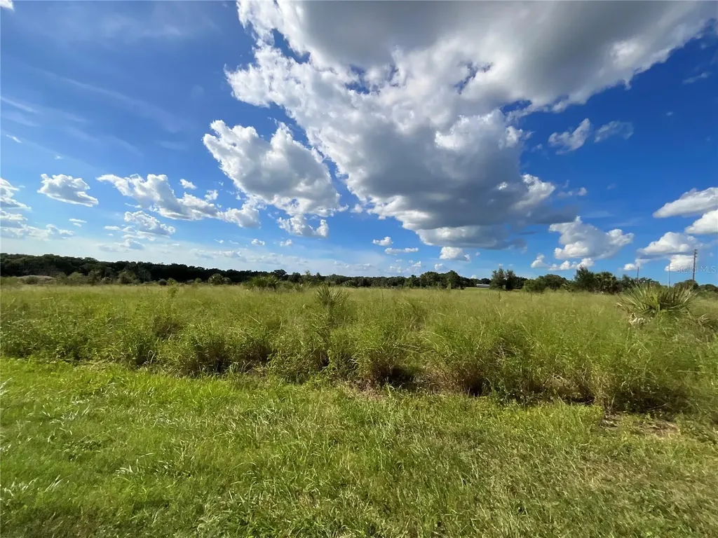 Sunset Harbor Road Weirsdale FL 32195