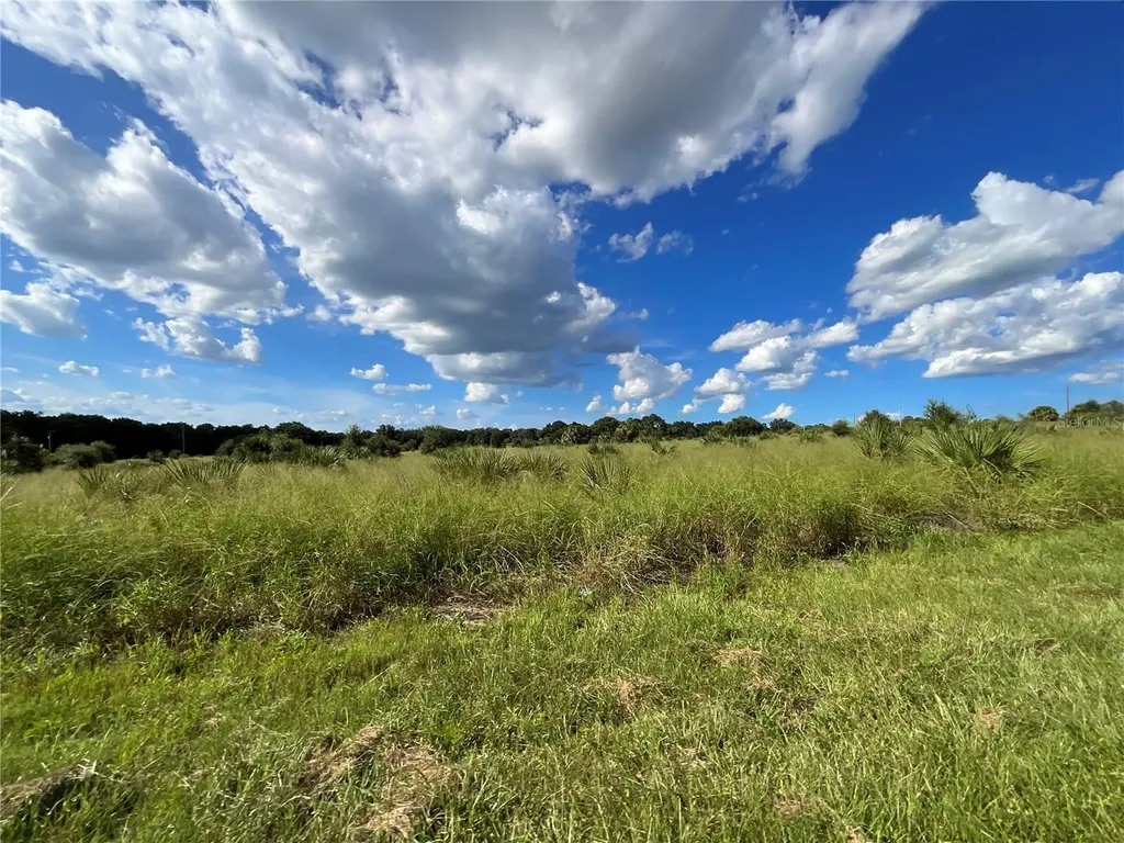 Sunset Harbor Road Weirsdale FL 32195