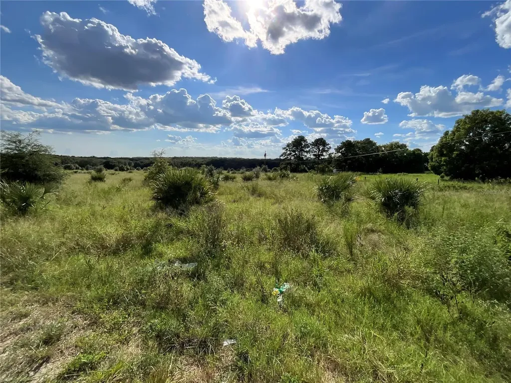 Sunset Harbor Road Weirsdale FL 32195