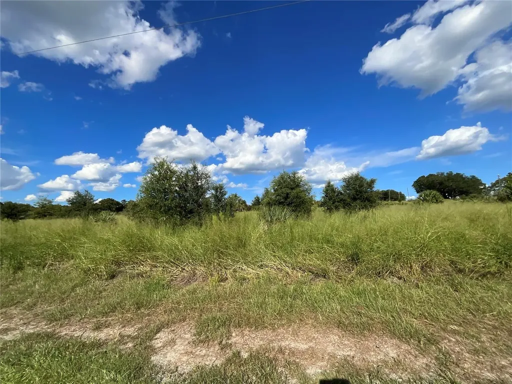 Sunset Harbor Road Weirsdale FL 32195