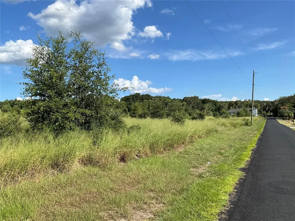 Sunset Harbor Road Weirsdale FL 32195