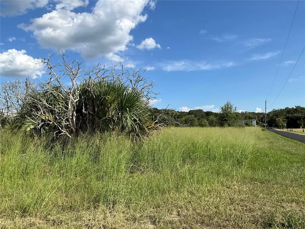 Sunset Harbor Road Weirsdale FL 32195