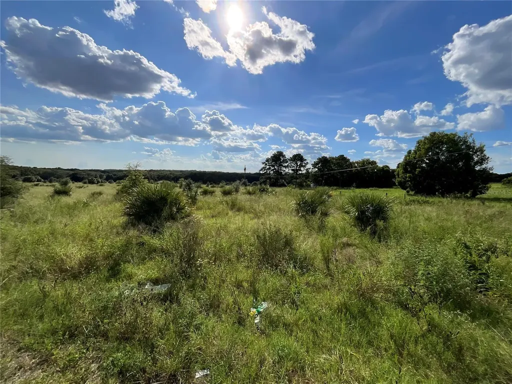Sunset Harbor Road Weirsdale FL 32195