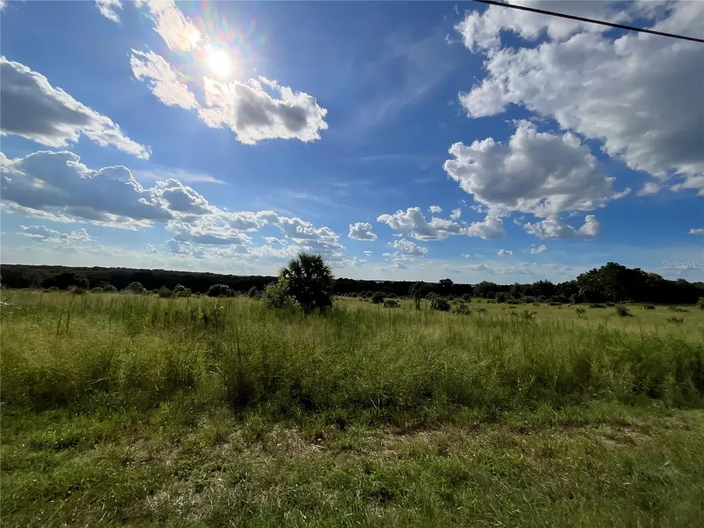 Sunset Harbor Road Weirsdale FL 32195