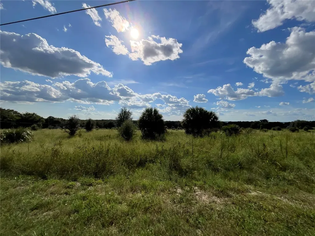 Sunset Harbor Road Weirsdale FL 32195