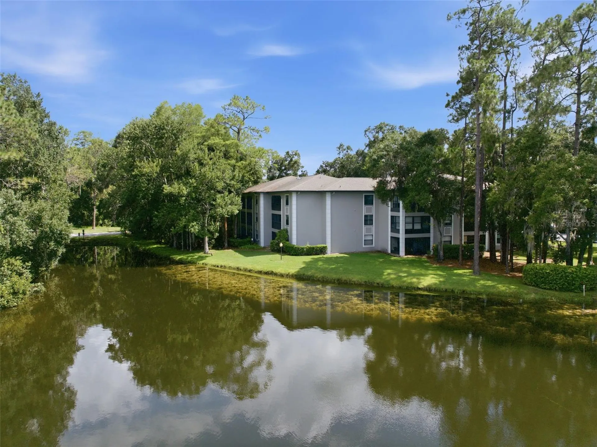 3399 Mermoor Drive Palm Harbor FL 34685
