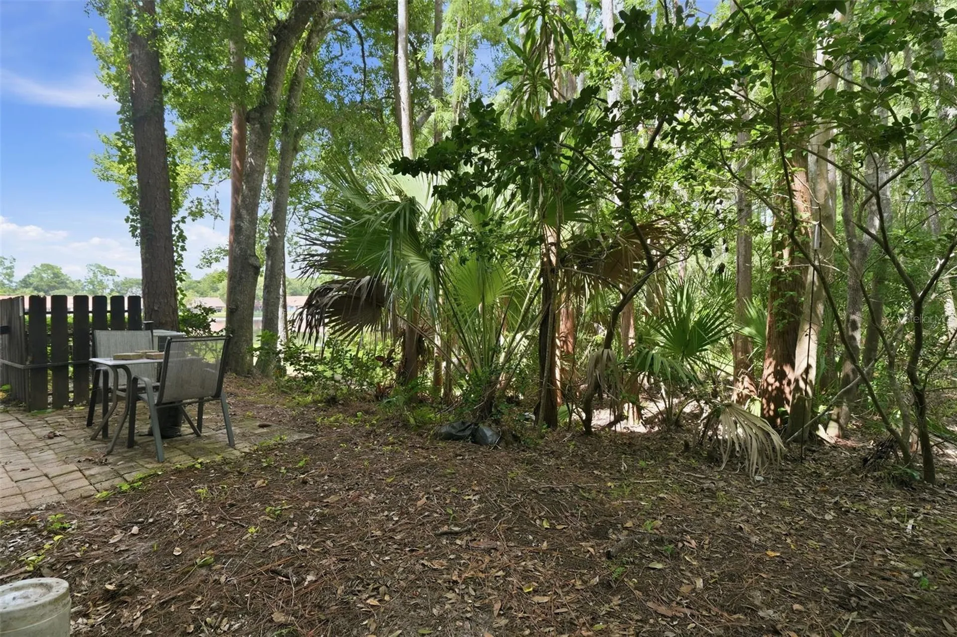 3399 Mermoor Drive Palm Harbor FL 34685