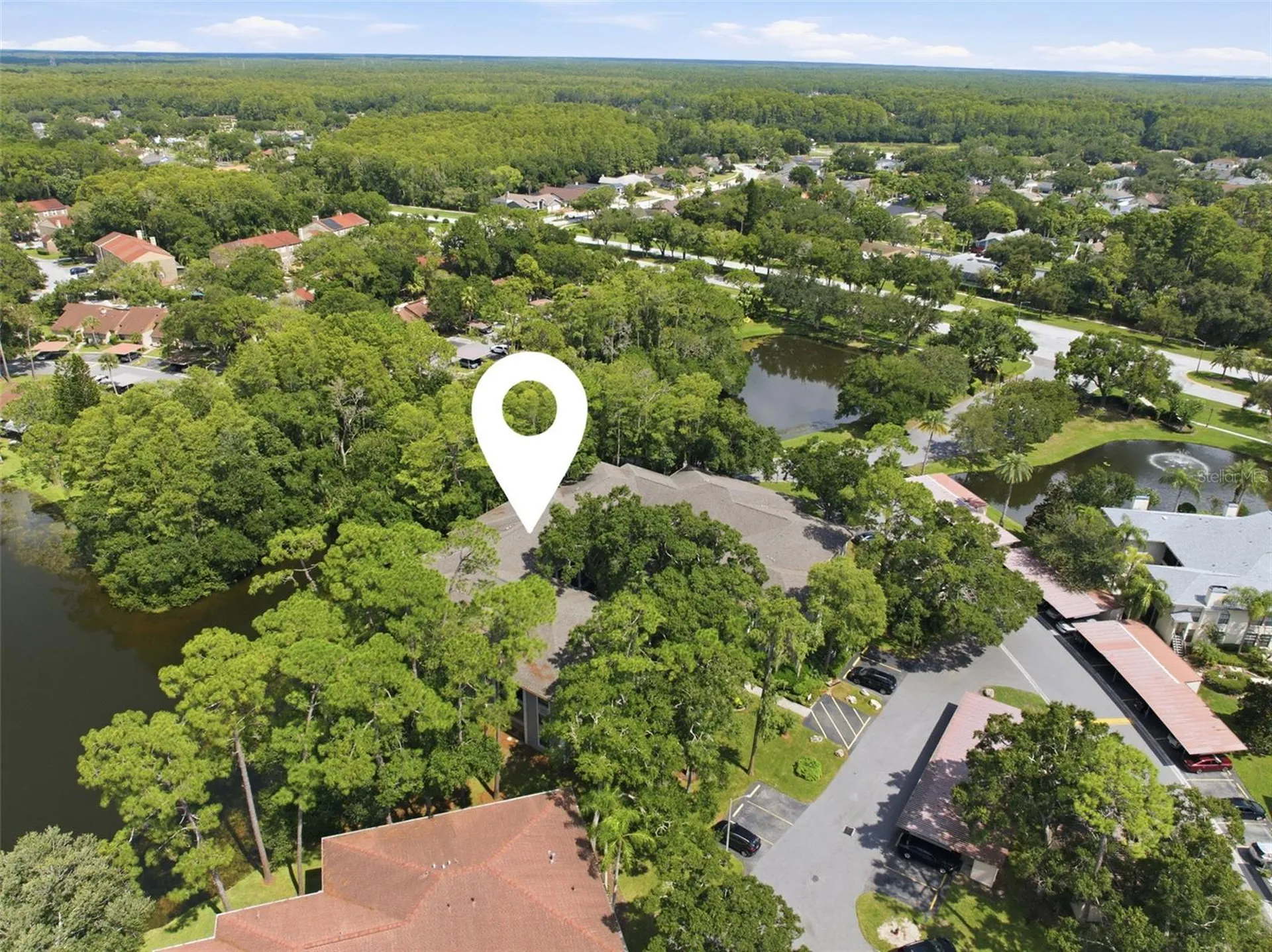 3399 Mermoor Drive Palm Harbor FL 34685