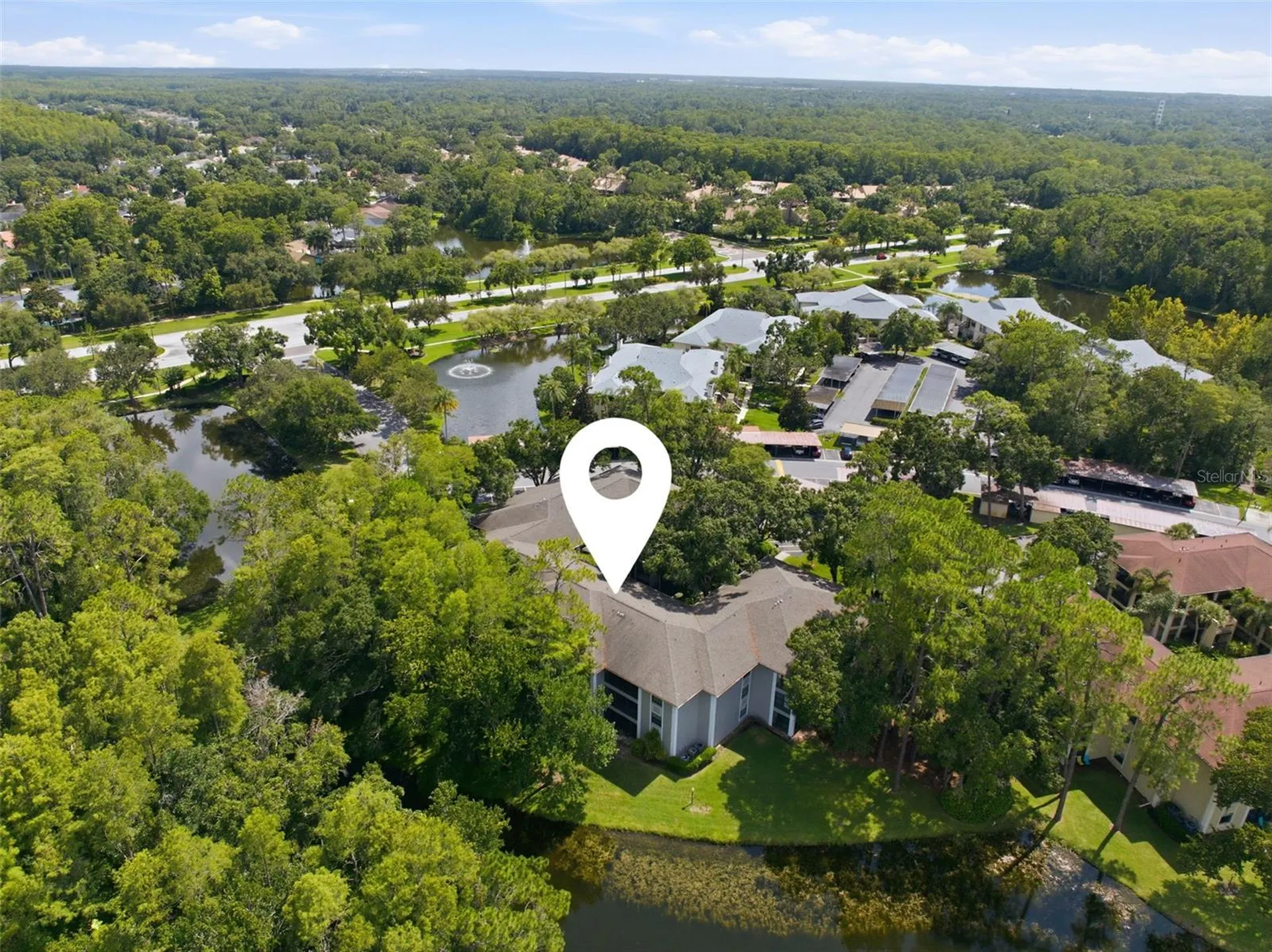 3399 Mermoor Drive Palm Harbor FL 34685