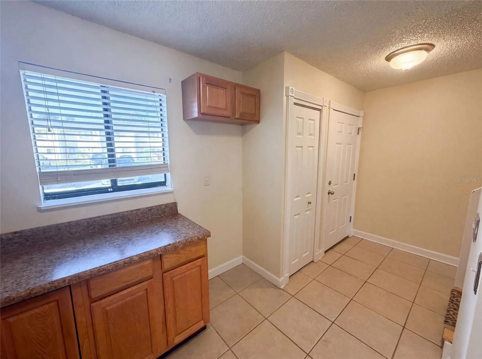 22707 Watersedge Boulevard Land O Lakes FL 34639
