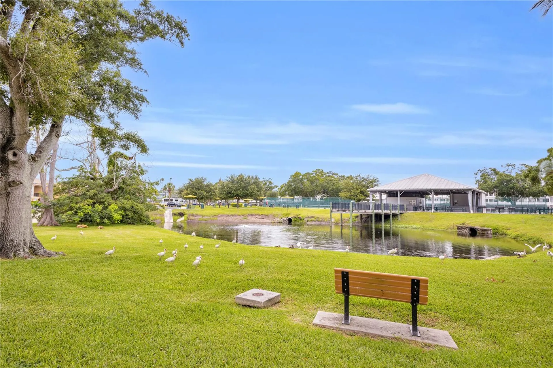 2451 Canadian Way Clearwater FL 33763