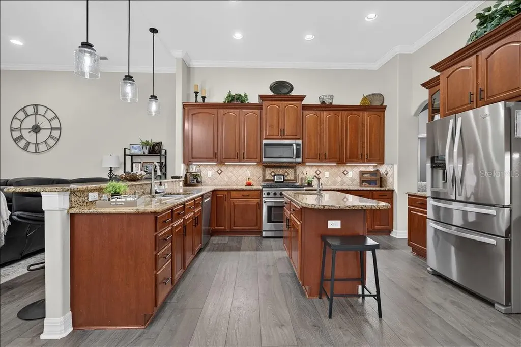 16410 Ivy Lake Drive Odessa FL 33556