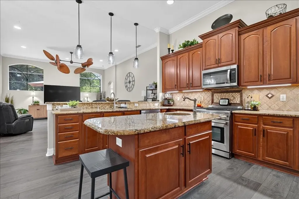 16410 Ivy Lake Drive Odessa FL 33556
