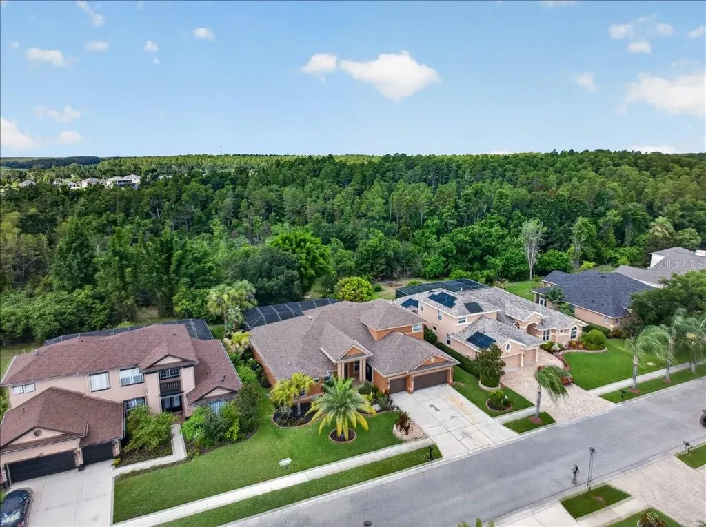 16410 Ivy Lake Drive Odessa FL 33556