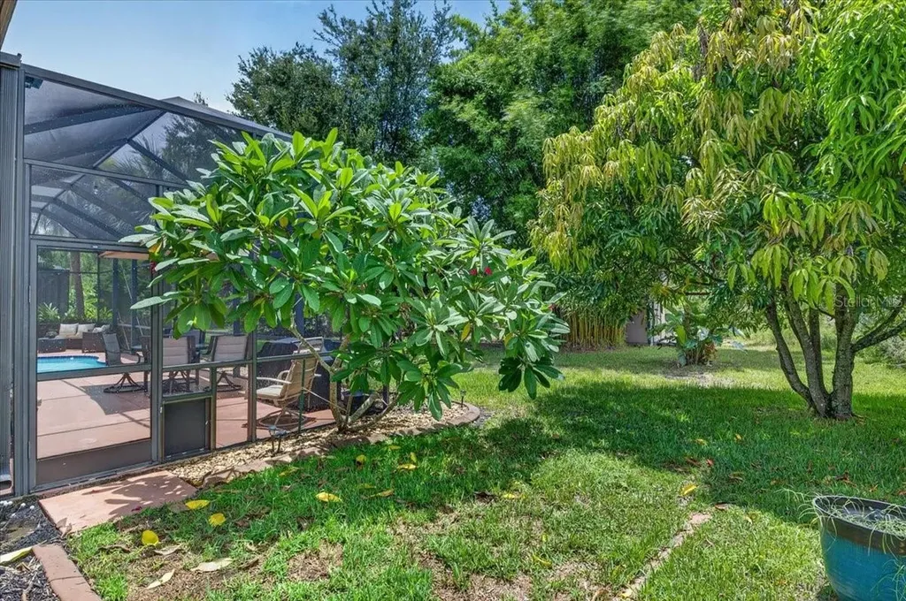 16410 Ivy Lake Drive Odessa FL 33556