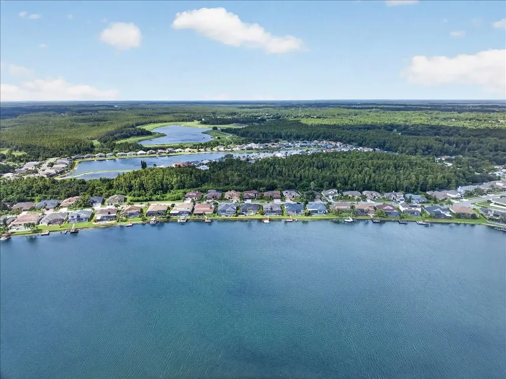16410 Ivy Lake Drive Odessa FL 33556