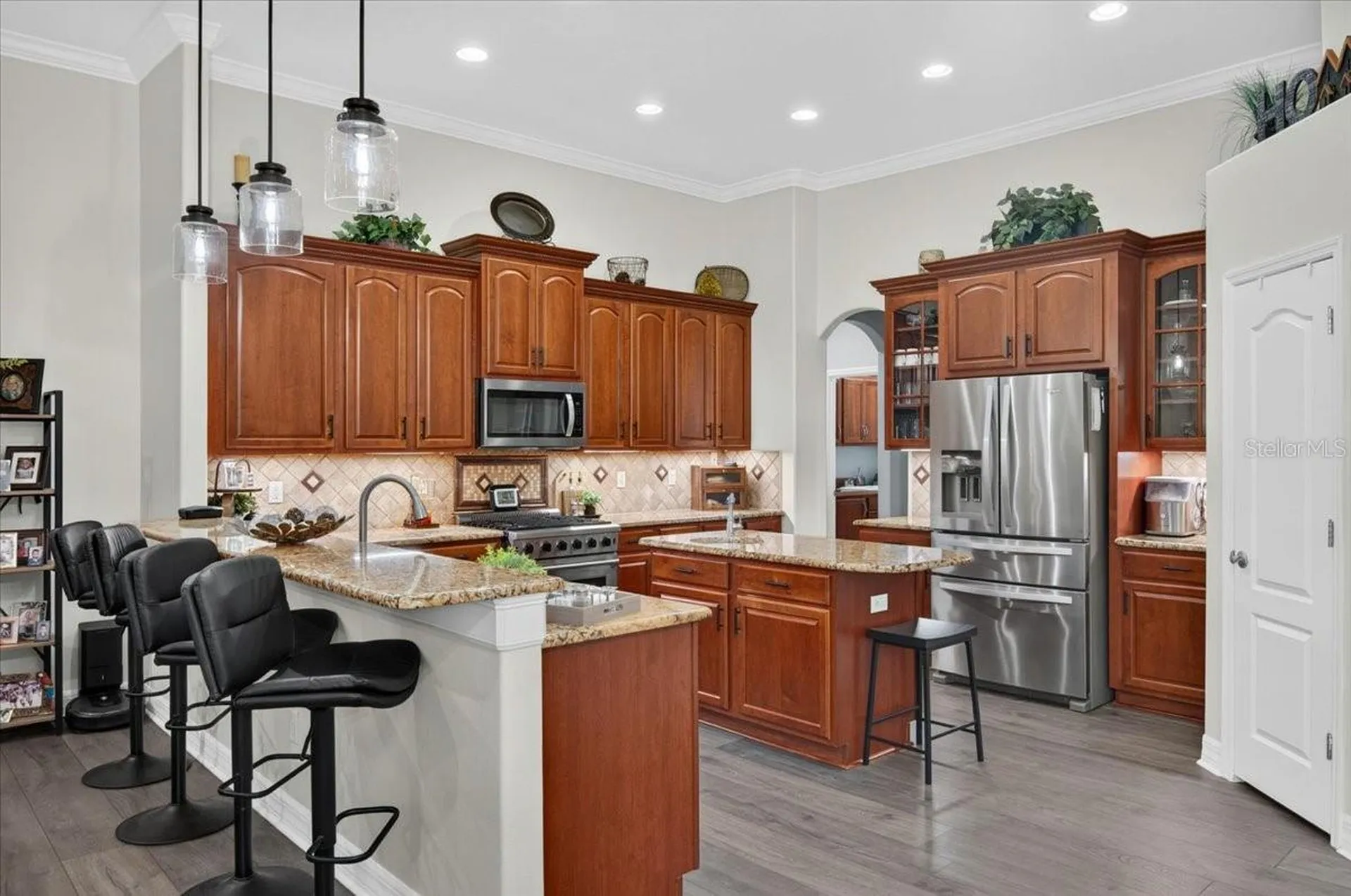 16410 Ivy Lake Drive Odessa FL 33556