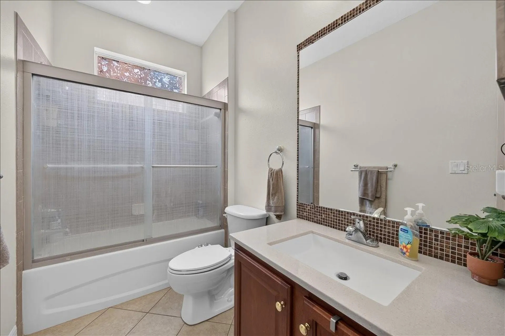 16410 Ivy Lake Drive Odessa FL 33556