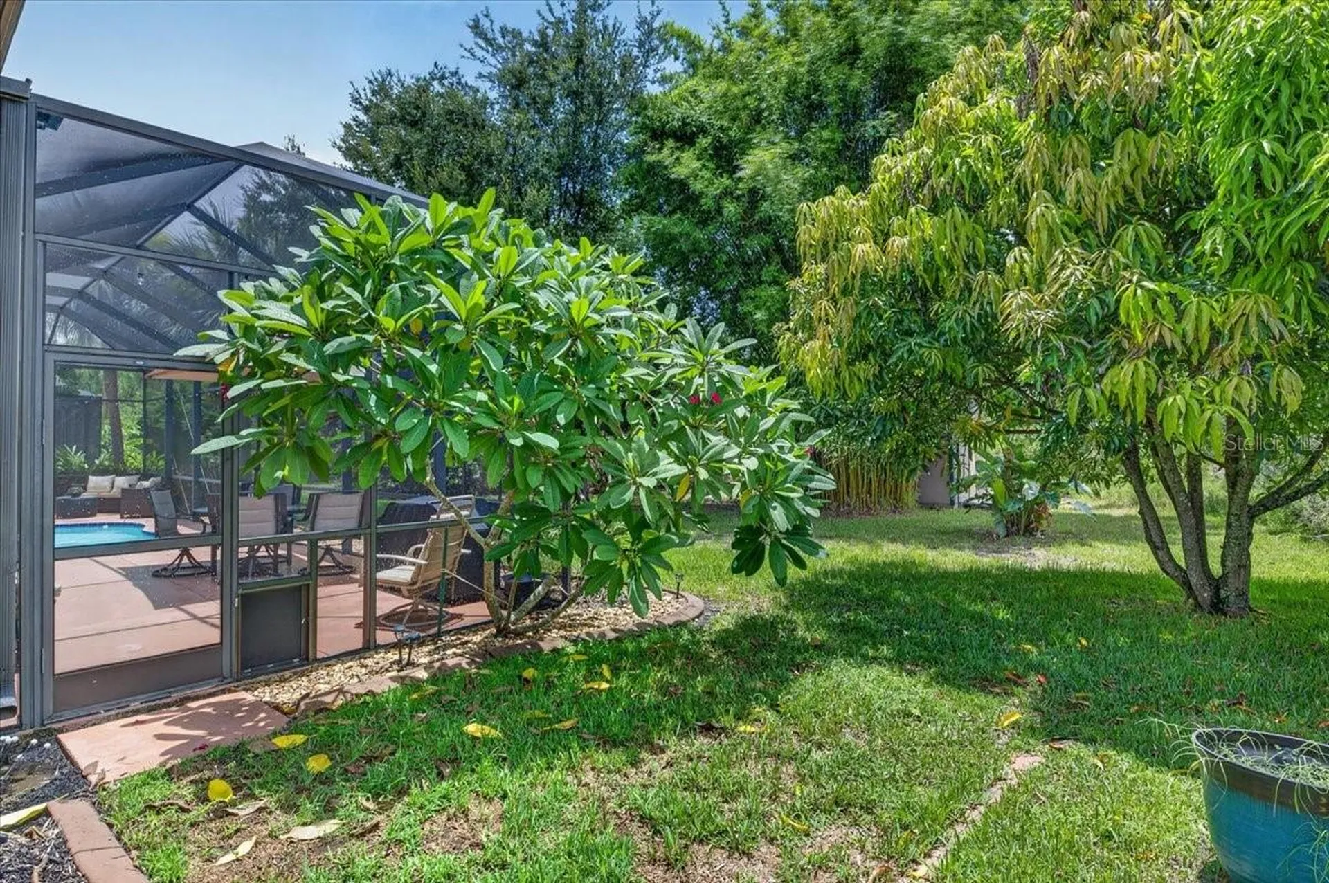 16410 Ivy Lake Drive Odessa FL 33556