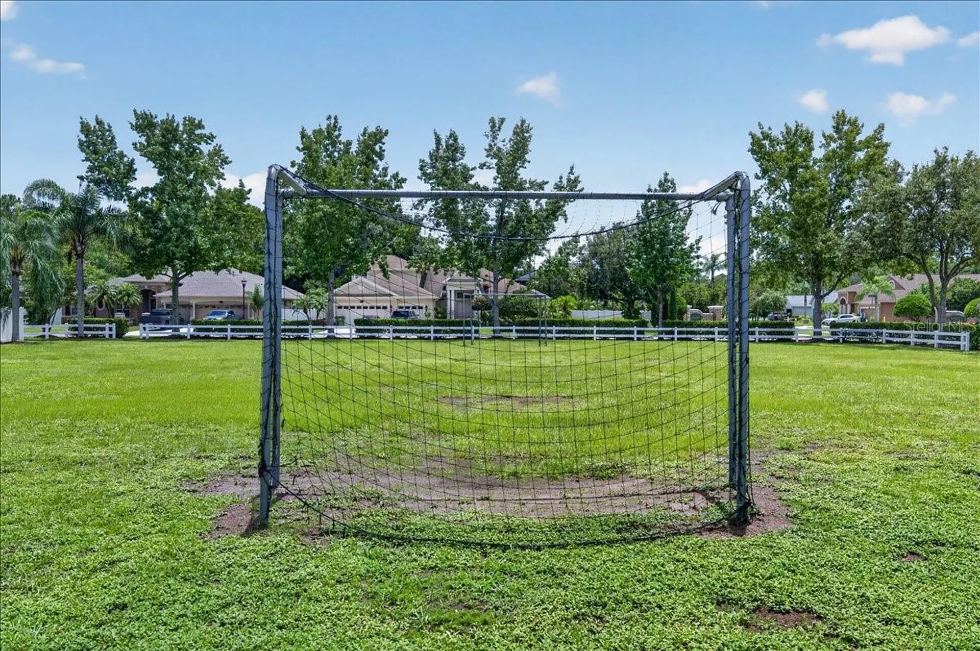 16410 Ivy Lake Drive Odessa FL 33556