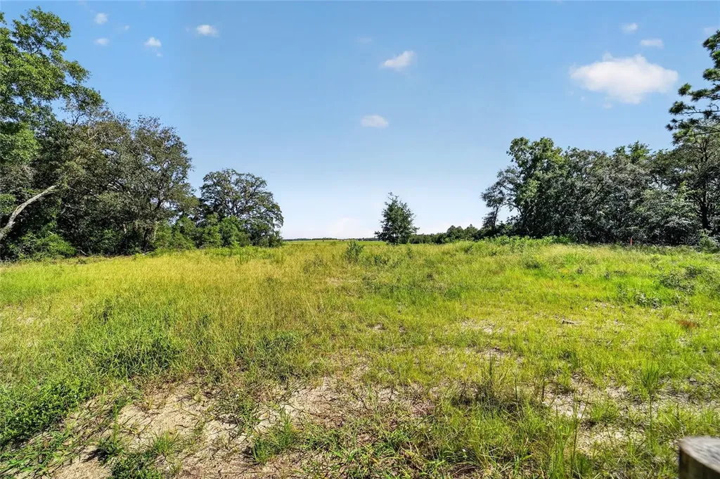 22081 SW Pine Bluffs Road Dunnellon FL 34431