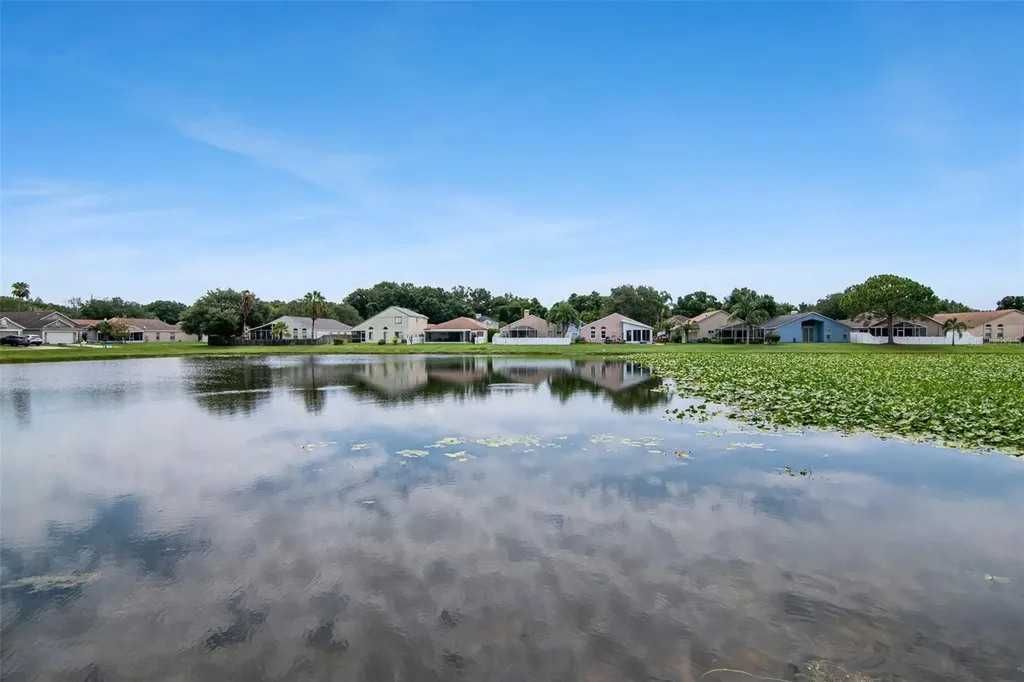 8512 Heyward Road Tampa FL 33635
