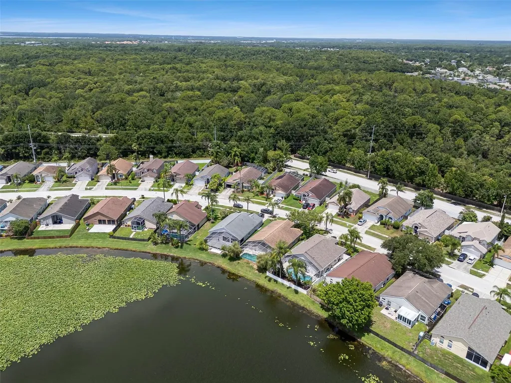 8512 Heyward Road Tampa FL 33635