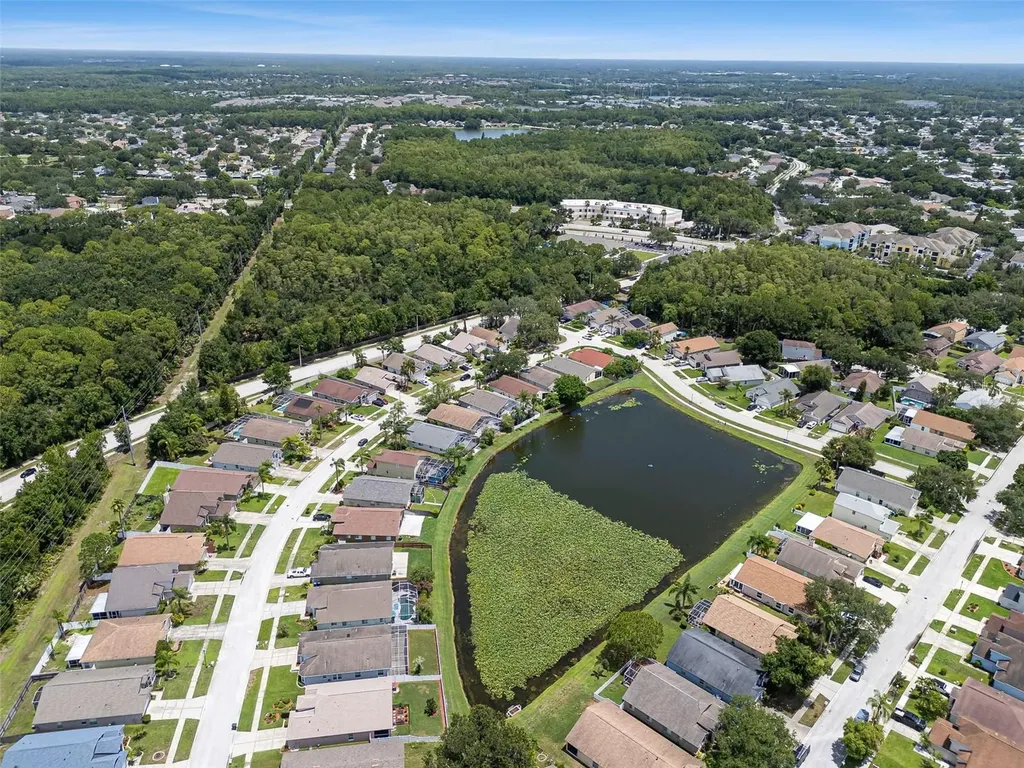 8512 Heyward Road Tampa FL 33635
