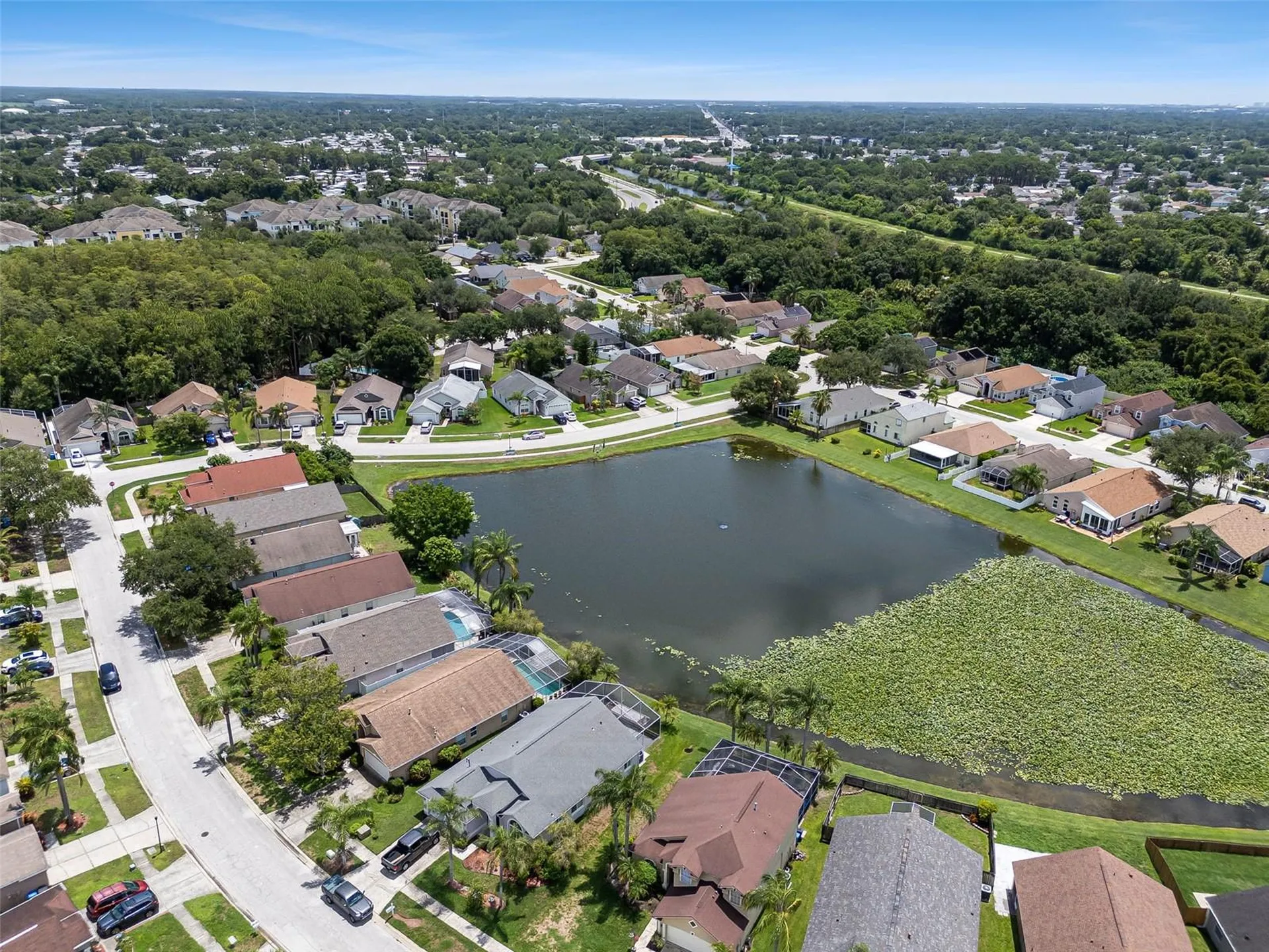 8512 Heyward Road Tampa FL 33635