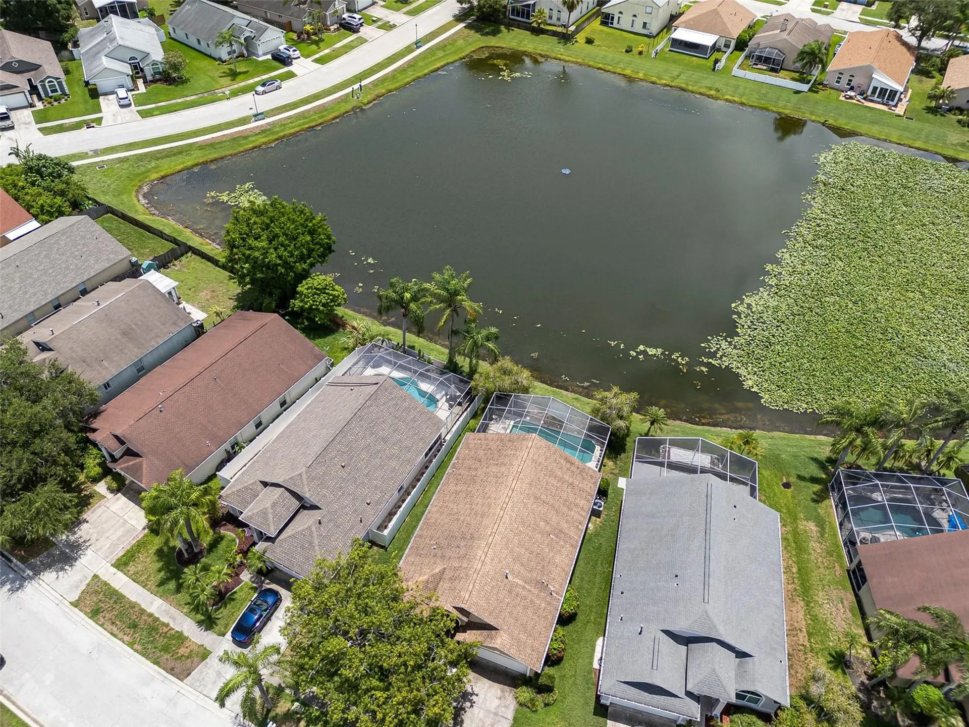 8512 Heyward Road Tampa FL 33635