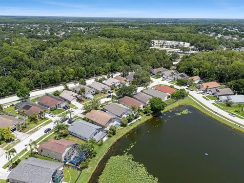 8512 Heyward Road Tampa FL 33635