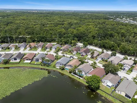 8512 Heyward Road Tampa FL 33635