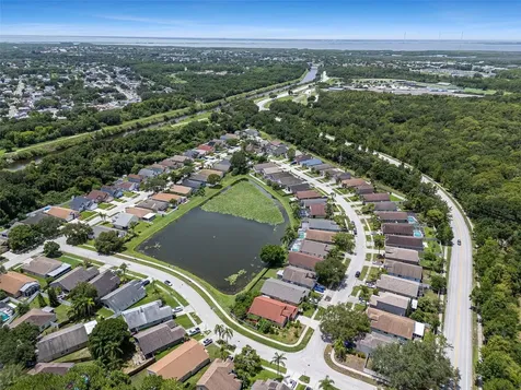 8512 Heyward Road Tampa FL 33635
