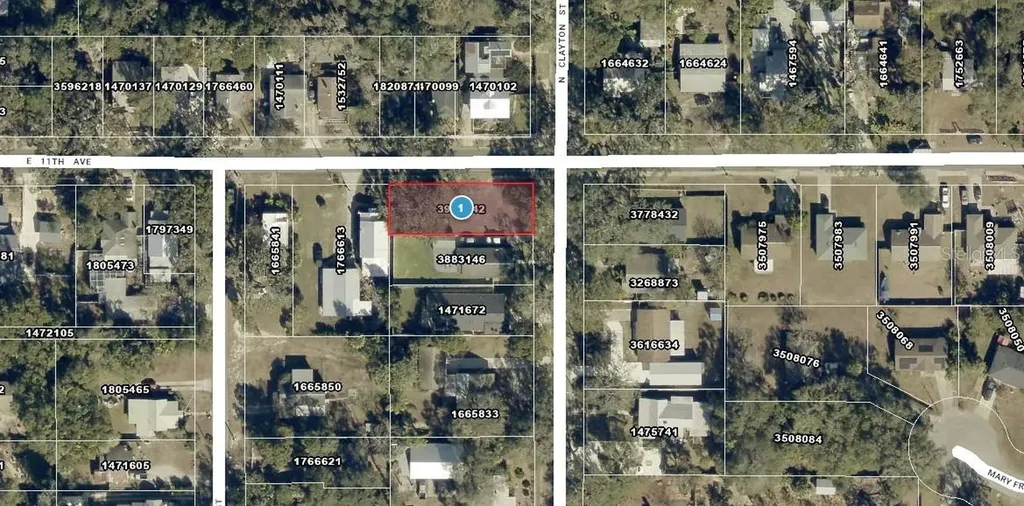 Clayton Street N Mount Dora FL 32757