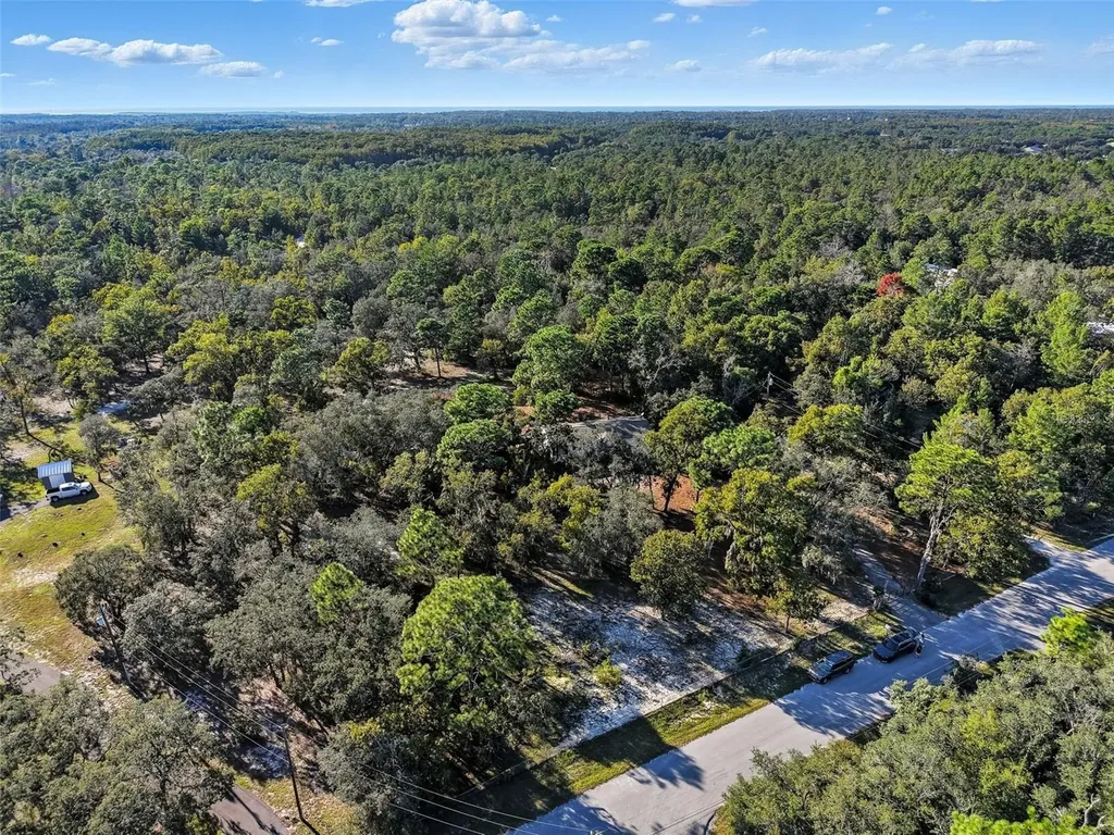 17539 Edwin Terrace Hudson FL 34667