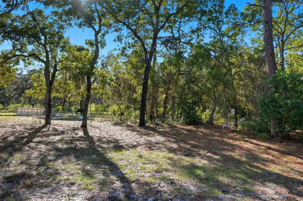 17539 Edwin Terrace Hudson FL 34667